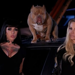 Любительское домашнее порно зрелых пар